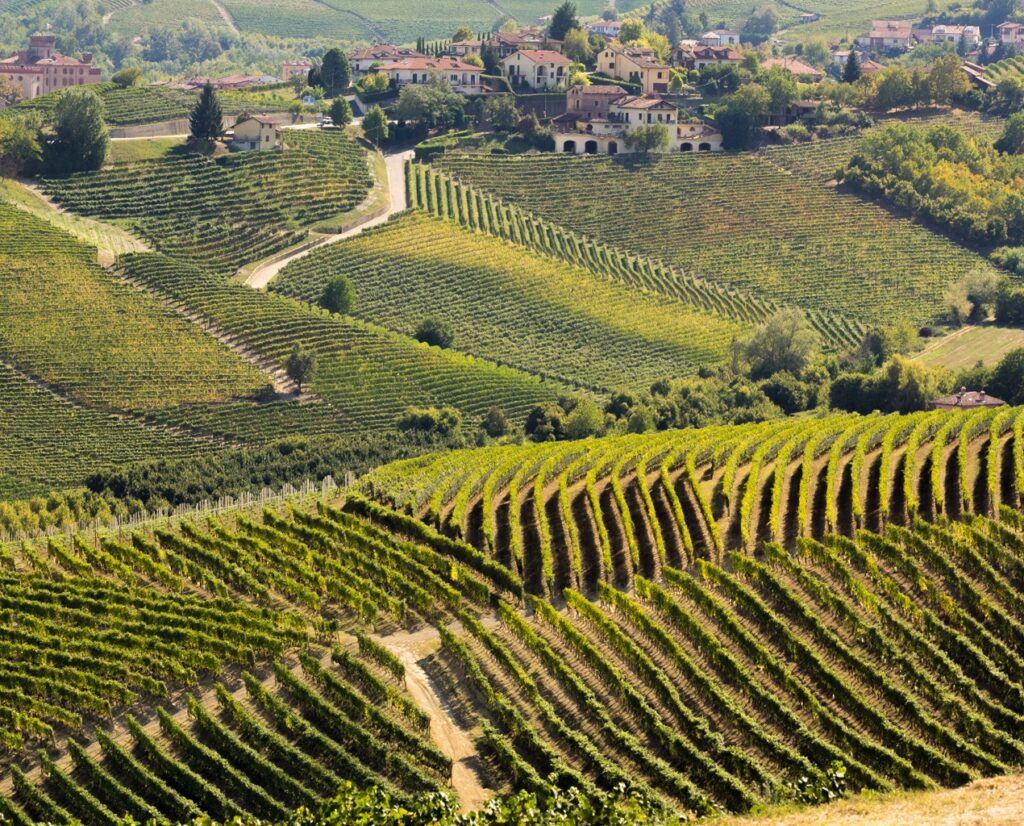 donna mia orleans region italie piemont 3